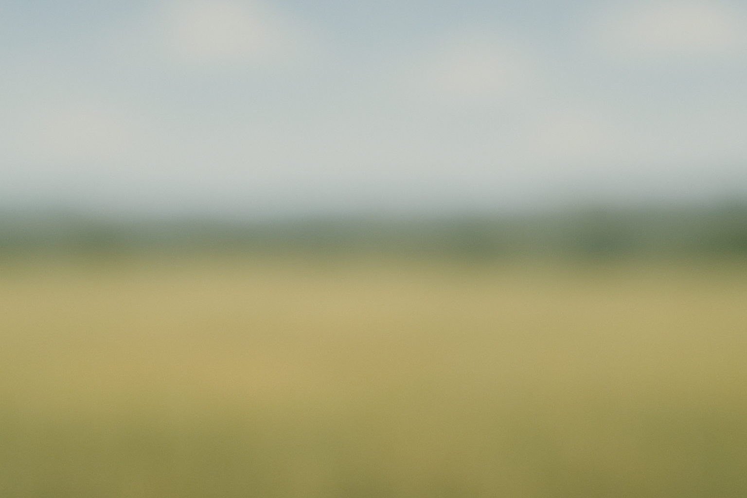 ChatGPT Image 8 mag 2025, 13_52_58